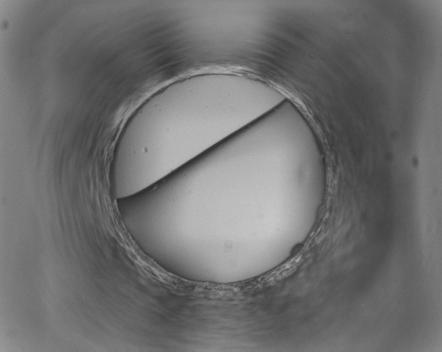 X0000068770337200604281023