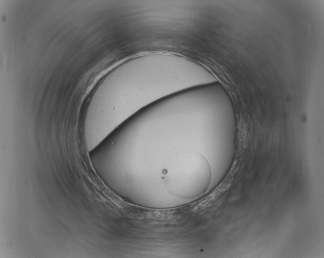 X0000068770338200604281023