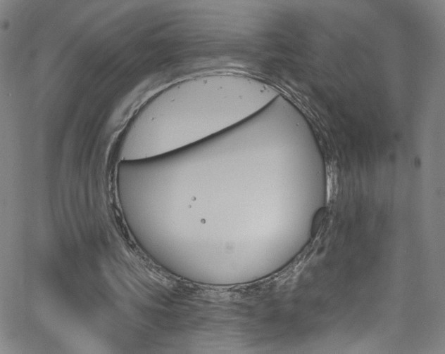 X0000068770339200604281023