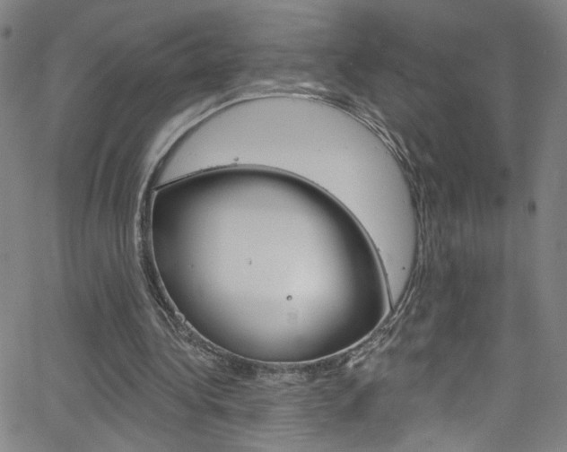 X0000068770340200604281023