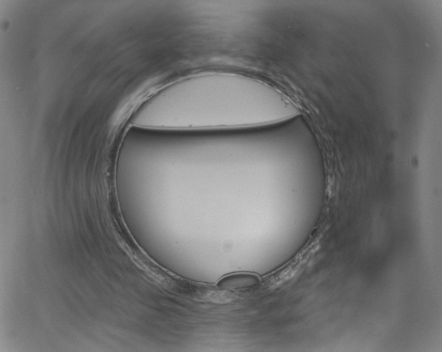 X0000068770341200604281023