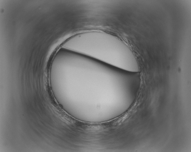 X0000068770342200604281023