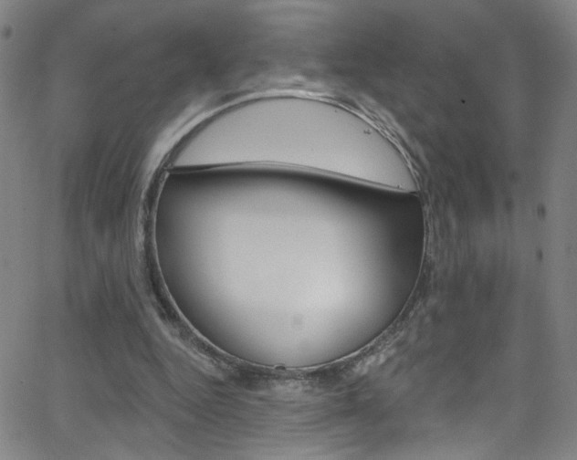 X0000068770344200604281023