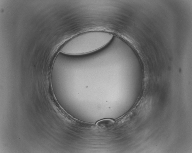 X0000068770345200604281023