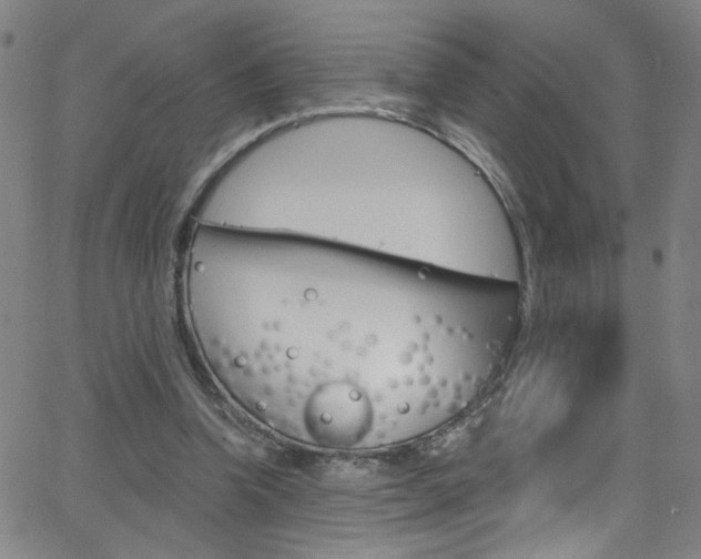 X0000068770346200604281023