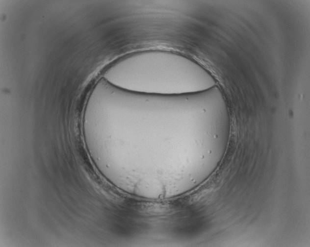 X0000068770347200604281023