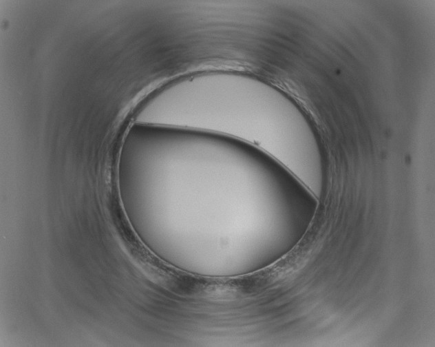 X0000068770348200604281023