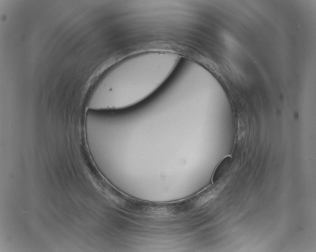 X0000068770349200604281023