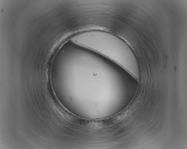 X0000068770350200604281023