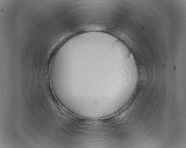 X0000068770351200604281023