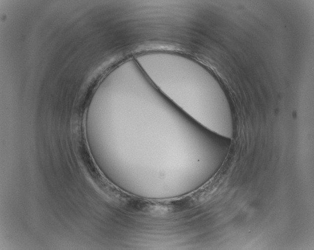 X0000068770352200604281023