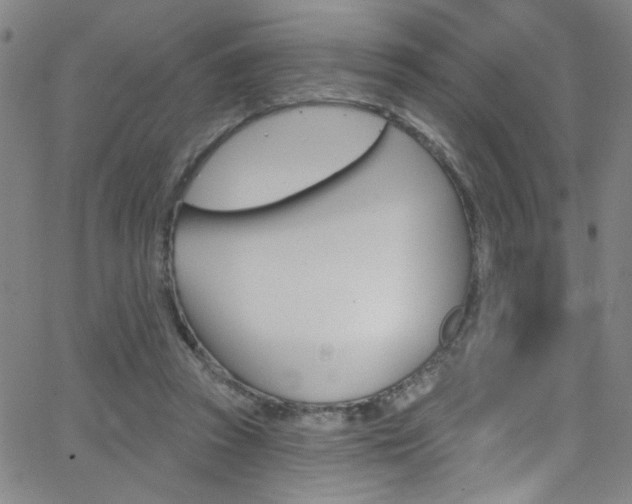 X0000068770353200604281023