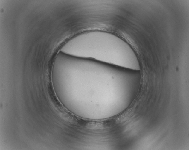 X0000068770354200604281023