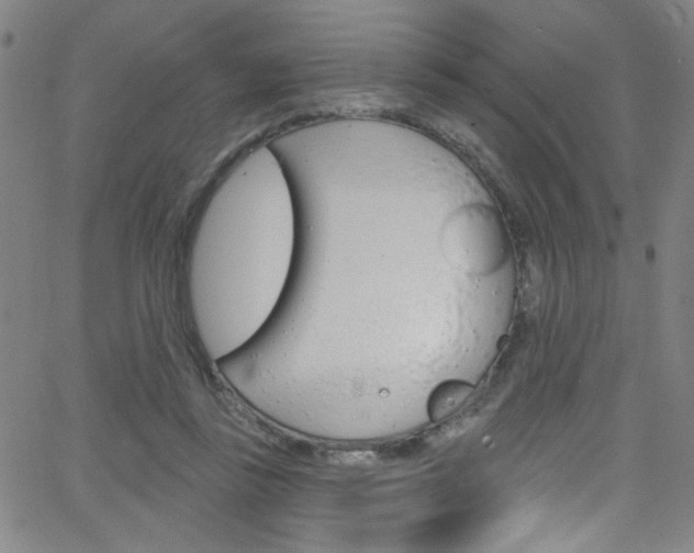 X0000068770355200604281023