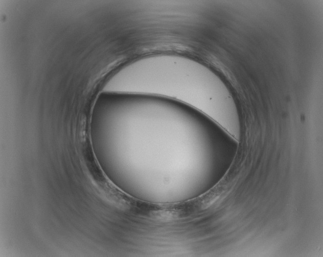 X0000068770356200604281023