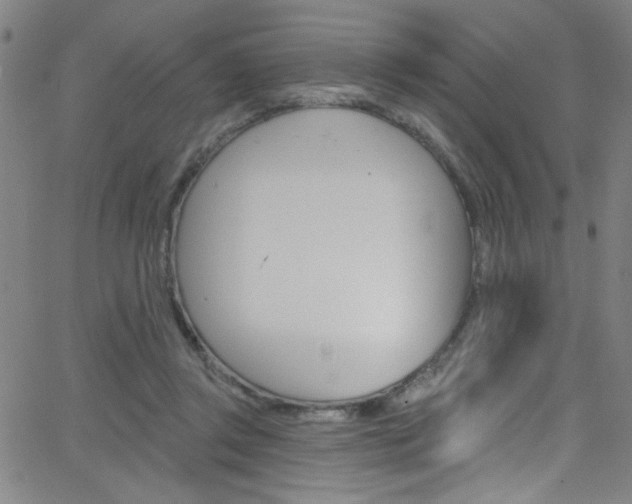 X0000068770357200604281023