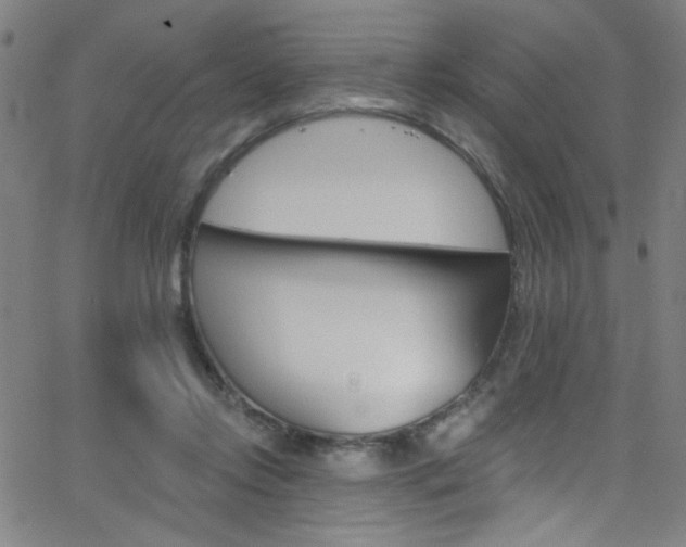 X0000068770358200604281024