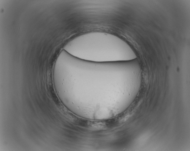 X0000068770359200604281024