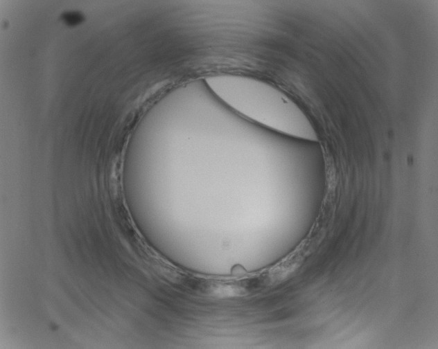 X0000068770360200604281024