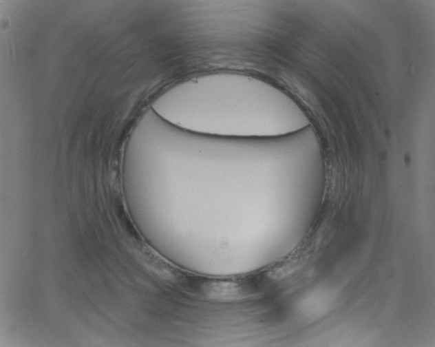 X0000068770361200604281024