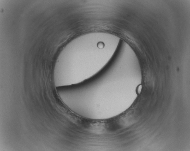 X0000068770362200604281024