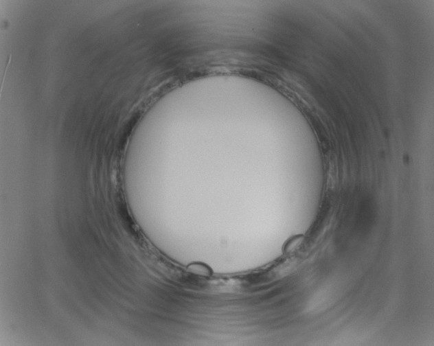 X0000068770363200604281024