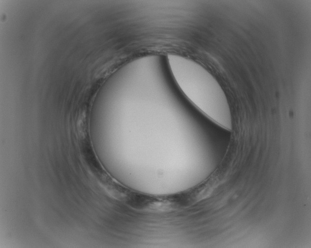 X0000068770364200604281024