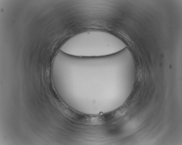 X0000068770365200604281024