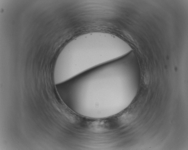 X0000068770366200604281024