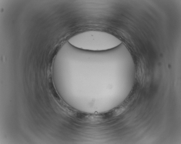 X0000068770367200604281024