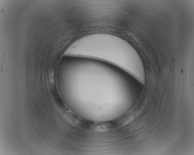 X0000068770368200604281024