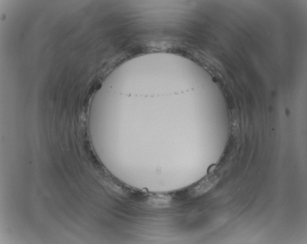 X0000068770369200604281024