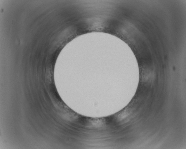 X0000068770370200604281024