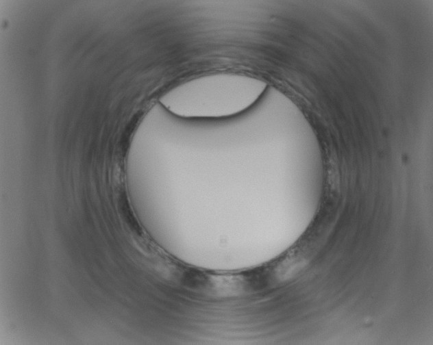 X0000068770371200604281024