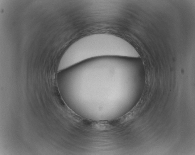 X0000068770372200604281024