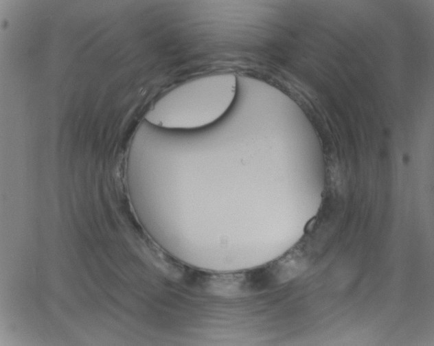 X0000068770373200604281024