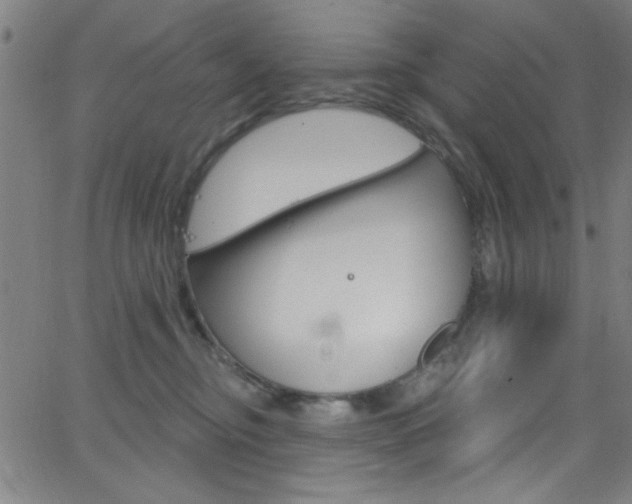 X0000068770374200604281024