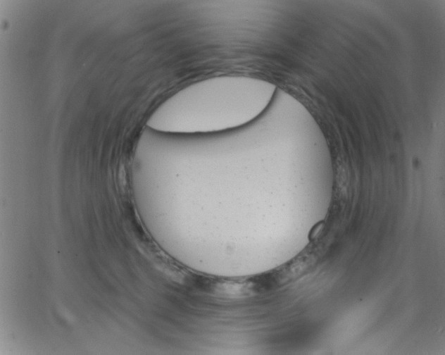 X0000068770375200604281024