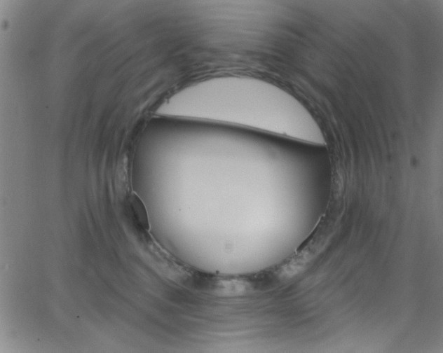 X0000068770376200604281024