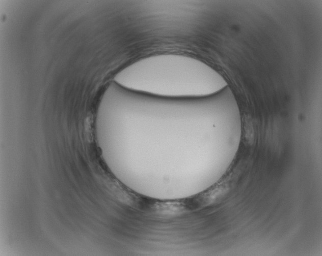 X0000068770378200604281024