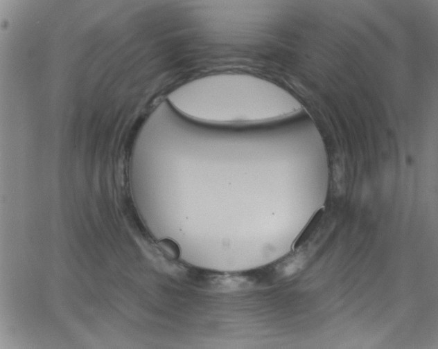 X0000068770379200604281024