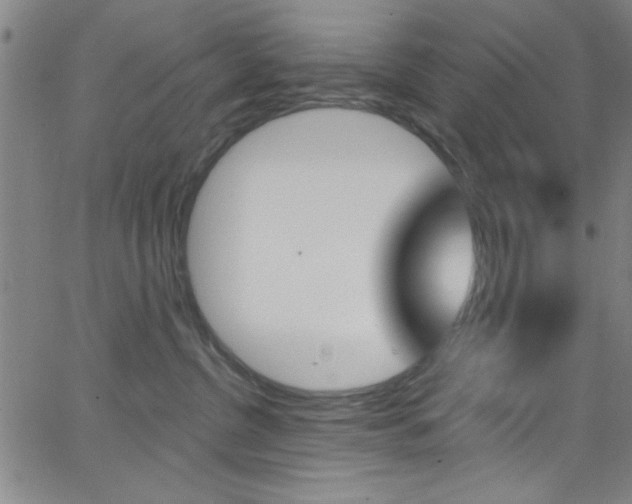 X0000068770380200604281024