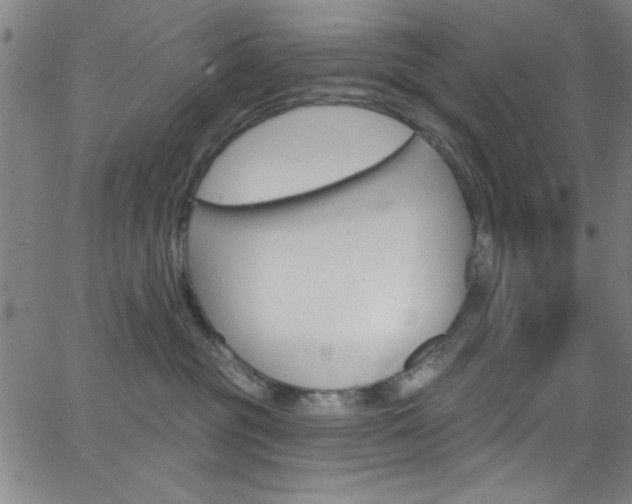 X0000068770381200604281024