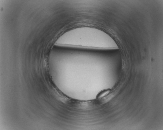 X0000068770382200604281024