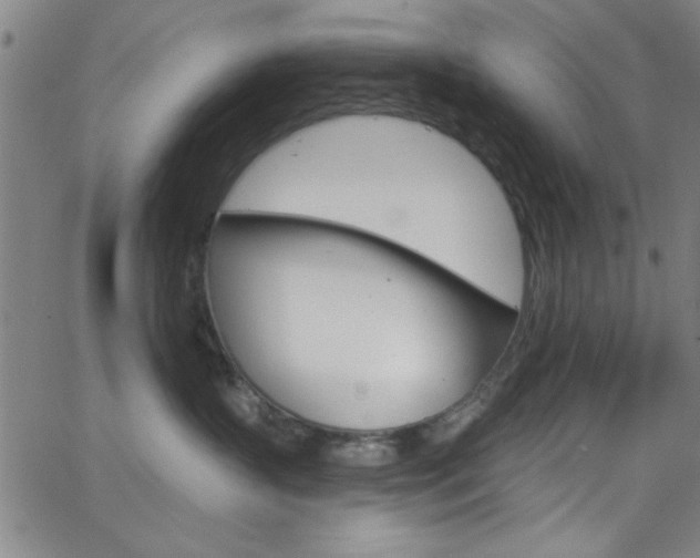 X0000068770383200604281024