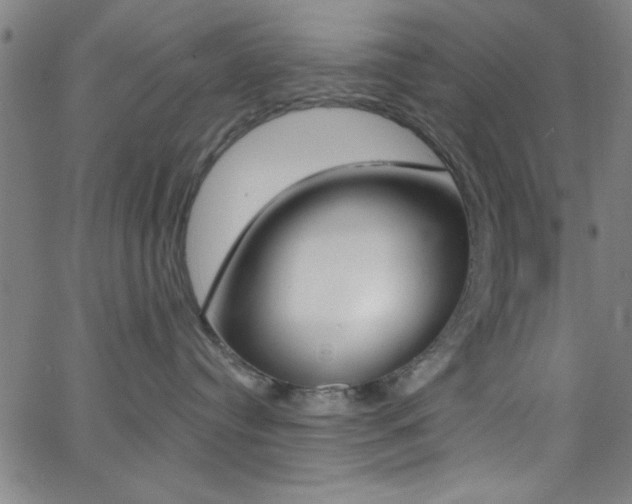 X0000068770384200604281024