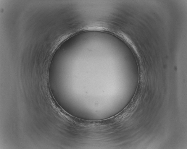 X0000068770385200604281023