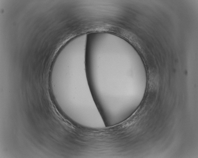 X0000068770386200604281023