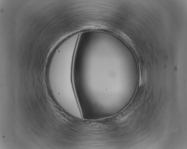 X0000068770387200604281023