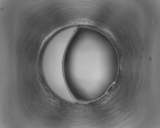 X0000068770388200604281023